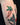parsnip tattoo by Shanji at Sacred Gold