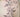 Botanical Tattoos and Their Meanings: From a Single Stem to a Full Bouquet
