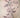 Botanical Tattoos and Their Meanings: From a Single Stem to a Full Bouquet
