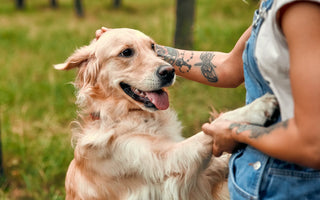 Honouring Your Best Friend: The Meaning Behind Pet Tribute Tattoos