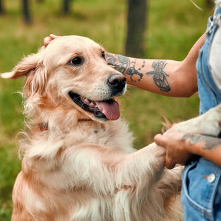 Honouring Your Best Friend: The Meaning Behind Pet Tribute Tattoos