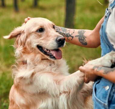 Honouring Your Best Friend: The Meaning Behind Pet Tribute Tattoos
