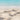The Sea, Sun, and Sand While Your Tattoo Is Healing