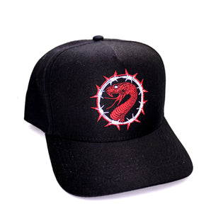 Barbed wire snake cap